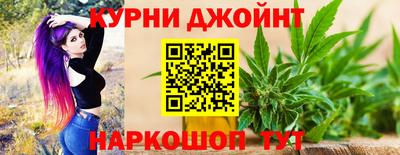 мдпв Камышлов