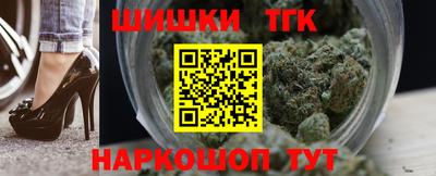 мдпв Камышлов