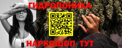 кокс Канаш