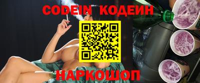 мдпв Камышлов
